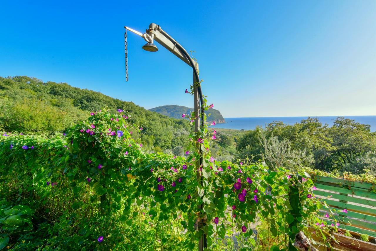 Pataki Guesthouse Petrovac na moru Exterior foto