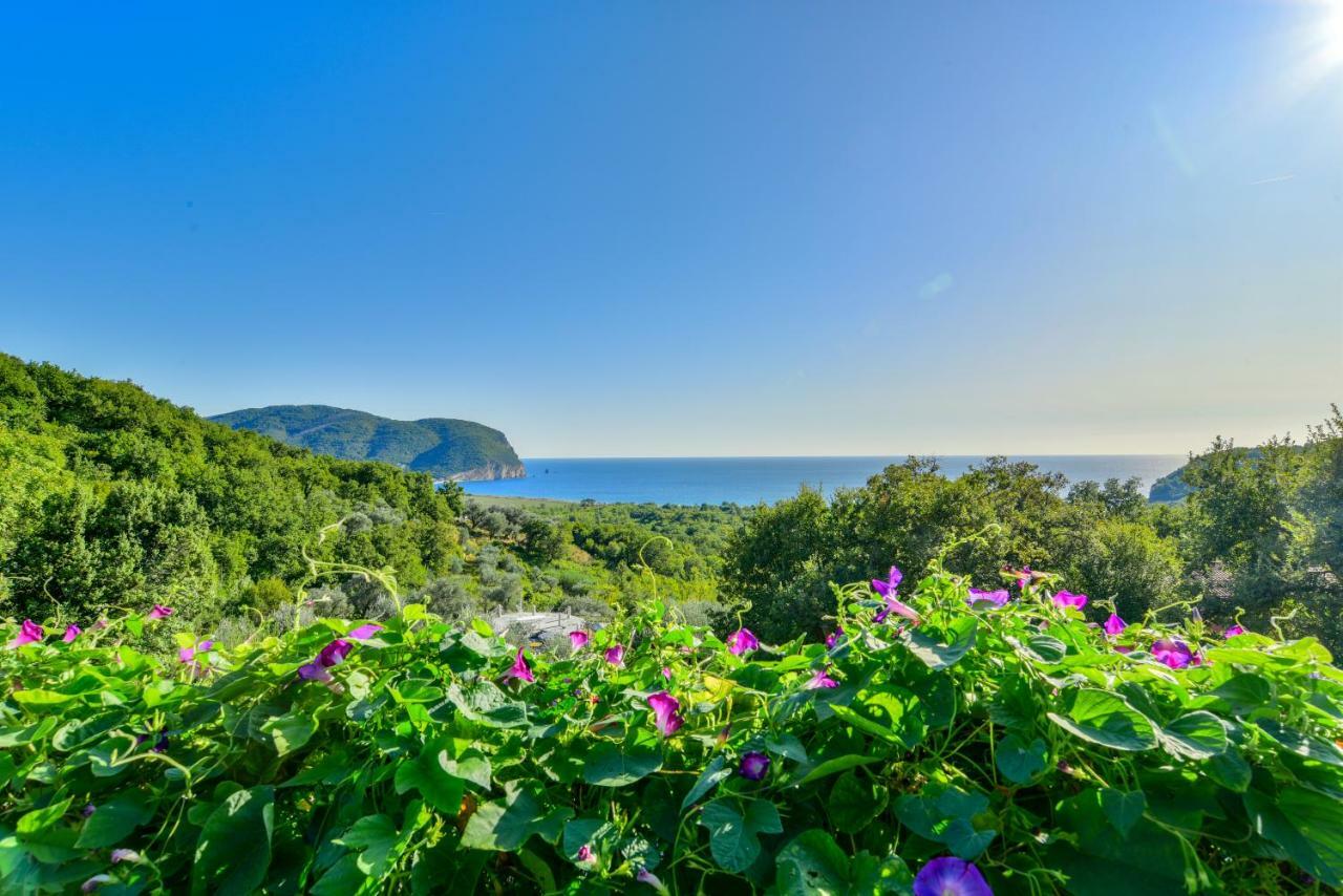 Pataki Guesthouse Petrovac na moru Exterior foto